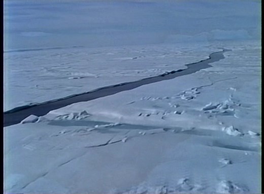 1995 VHS • Wings Over Serengeti 60 FPS