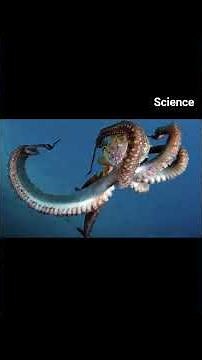 Mind - Blowing Science Facts That will shock you | Amazing Physics, Space & Biology Facts