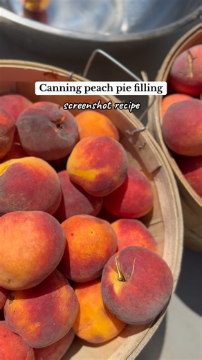 Lauren Ketterman on Instagram: "Canning peach pie filling! It’s a water bath canning recipe so perfect for beginners! Note that you are able to use cornstarch, but it is considered rebel canning, clear gel is the “approved” method. Do what you wish with that lol. Happy canning 🍑 #canningandpreserving #canning #peaches #homestead #selfsufficient #urbanhomestead"