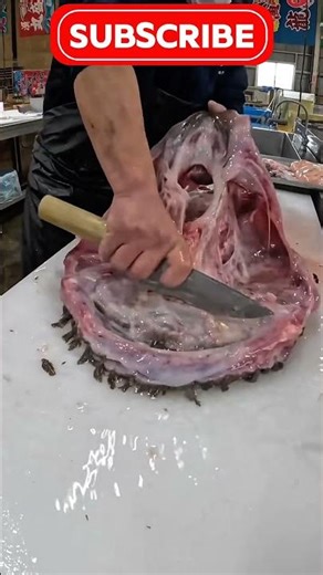 The Scariest But Delicious Fish! The Shocking Process of Cutting Angler Fish! #angler #fish