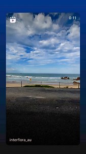 Interflora Australia on Reels