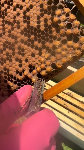 64K views · 404 reactions | I’ve received some questions about WSP...