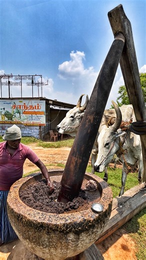 3M views · 37K reactions | Great‼️ Authentic Traditional Gingelly Oil Making Process‼️ Santham Kal Chekku: 9443284469; 90039 68824 #fblifestyle #IOF #indianoceanfisherman #oceanwithrobert #tradition #Authentic #organic #making | இந்திய பெருங்கடல் மீனவன் Indian Ocean Fisherman | Facebook