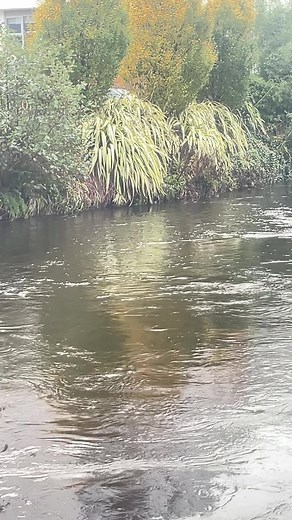 Exploring Cork: River Lee Tunnel and Beautiful Scenery