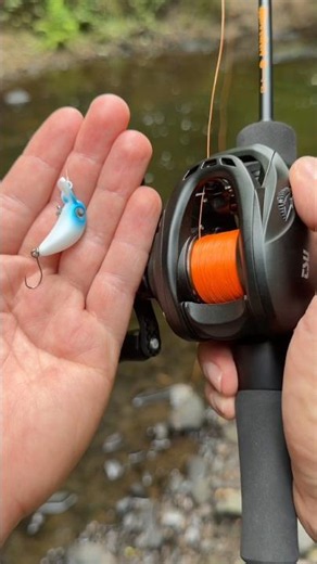 BFS setup for trout in 60 seconds! ⏰🎣 #bfsfishing #UltralightFishing #MicroLures #troutfishing