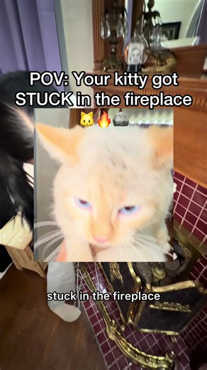 Baby bing is so crazy 😂 soon we need to find a way to block the fireplace better 😳 #pov #cats #kittens #dirtycat #straycat