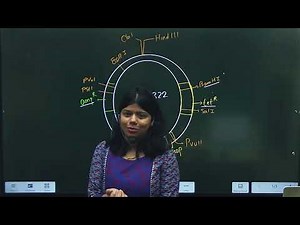 pBR322 | Selectable Markers in Vectors | Biotechnology | NEET 2026