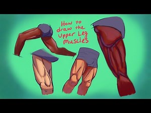 3 Muscle Groups You NEED to Know to Draw the Upper Leg
