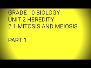 Biology grade 10 unit 2 Heredity/ባዮሎጂ 10 ክፍል በቀላሉ በ አማረኛ/ 2.1 mitosis and meiosis part 1