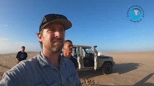 2K views · 306 reactions | Entangled seals can be found anywhere at...