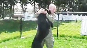 Cracking the Secret Code of Man's Best Friend