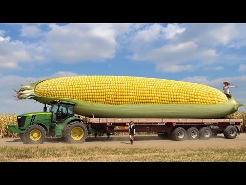 85 Expensive Agricultural Machines Working At Another Level!