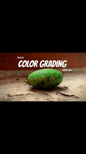 "Turning raw shots into cinematic stories 🎬✨