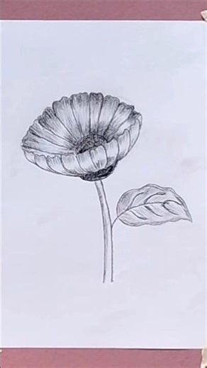Beautiful flower Drawing & Sketching #drawing #shorts