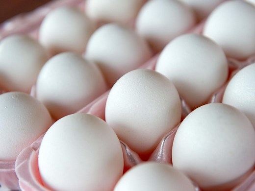 Does Cooking Kill Salmonella?