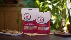 Dairyland Fresh American Ginseng Roots, 8 oz Fresh Wisconsin Ginseng, Direct from The Farmer to The Consumer, Premium Quality Ginseng