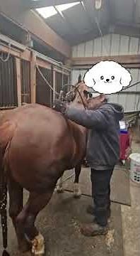 Class 4 Laser Smart 10W Review - Domer Laser