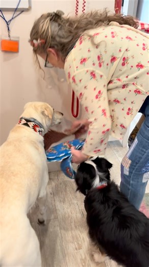 Modern Prairie on Instagram: "Reminder: our fur friends don’t care about the gifts, the decor, or the chaos—just that you’re home 🐾 Extra cuddles encouraged. Required, actually. #holiday #holidays #family #animalsofinstagram #december @melissagilbertofficial"