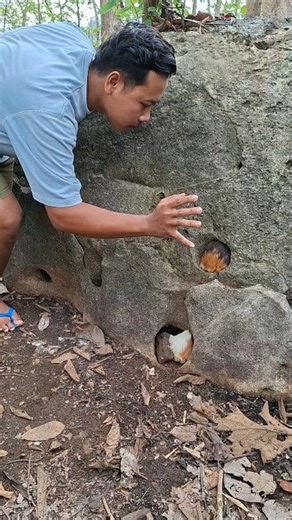 10K views · 42 reactions | Catching rare animals in the hole | Jall Af | Facebook