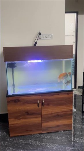 Working on new project 😮‍💨waiting for final results #saifishaquarium #aquarium #aquariummagazine