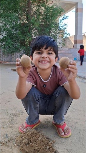 kalpit magically grows sapodilla #shorts