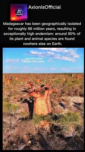 Madagascar: Isolated for 88 Million Years! 🌍🤯