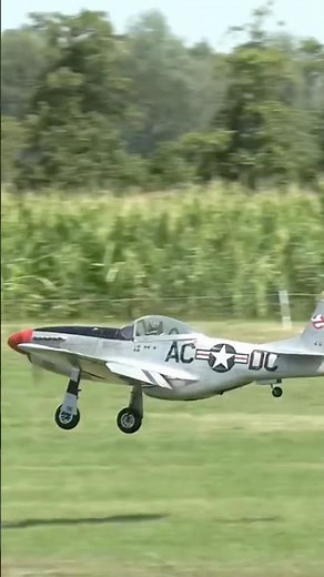 This Is the Smoothest Mustang Landing You'll See Today!