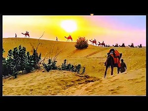 Thar desert rajasthan | national Geographic | Discovery channel | Animal planet Hindi documentary