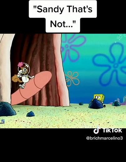 @Brich Marcelino417 #fyp #foryou #foryoupage #funny #comedy #roadto20k #nickelodeon #spongebobsquarepants #spongebob #sandycheeks #spongebobandsandy #spongebobsandyandtheworm #alaskanbullworm #thatsnottheworm #usemyaudio #marcelino17