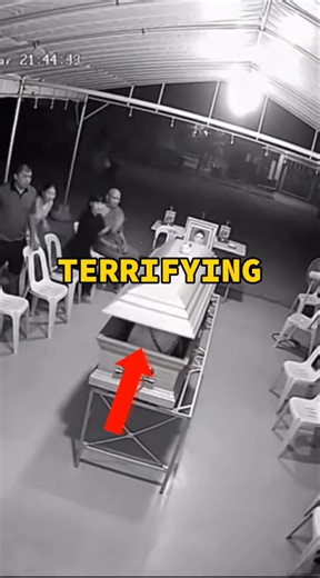 A cat jumped into a coffin… and what happened next terrified everyone 😨⚰️