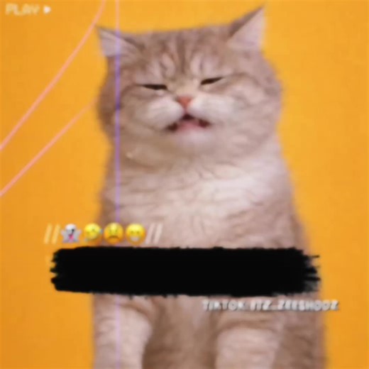 Hilarious Life Quotes That Hit Hard