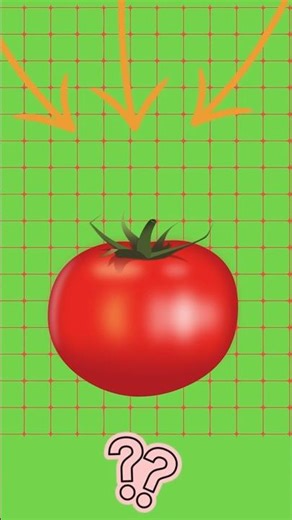 What's In The Picture? (TESTING YOUR VISUAL IQ)
