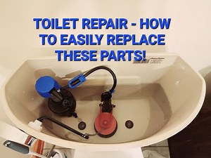 How to Replace the Parts in the Back of Your Toilet (Fill and Flush Valve Replacement)
