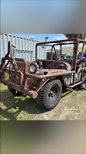 Wild Willys This Week