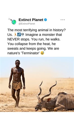 We are the real Terminator: if you run, I catch you! 🏃‍♂️💀 #ancient #Evolution #Hunting xyz