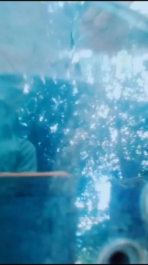 Duke_lover 😍#pavanhari000 #matkarforward #heforshe #staypositive