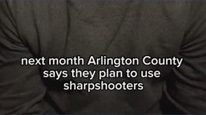 Arlington County deer management begins next month