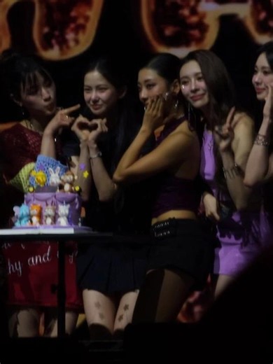 🐤🐰🐵🐘🐯🦌🦄 #clc #AfterAll #11thanniversary #concert
