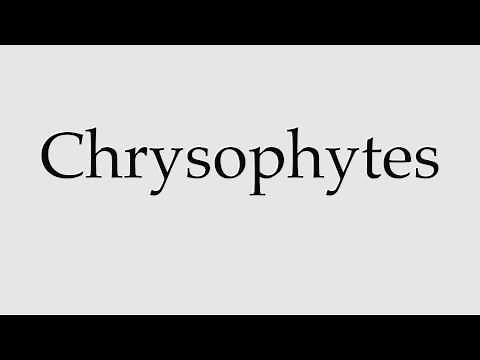 How to Pronounce Chrysophytes