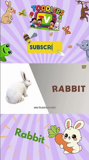 How to Spell Rabbit | Learn Animal Names in English | English for Kids | ‪@ToddlersEduTV‬ #animals