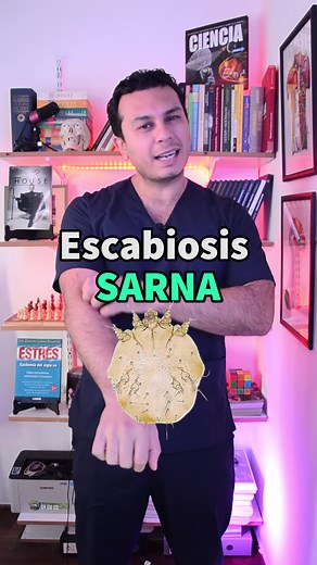 Escabiosis y sarna: Causas, síntomas y tratamientos