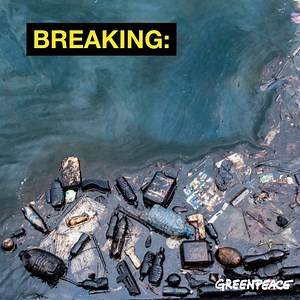BREAKING: proposed drilling off the coast of South Australia could lead to an oil spill zone that spreads over 2500km away. That's Bondi Beach. That's the Great Ocean Road. That's Tasmania's World Heritage Coast. That even stretches halfway to New Zealand. The time to act is now. Join the fight - protect the Bight. Email the Environment Minister: act.gp/protectthebight | Greenpeace Australia Pacific