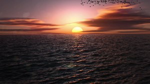 Ocean modifier Physical Starlight and Atmosphere addon. Birds and lens flares added with AE.