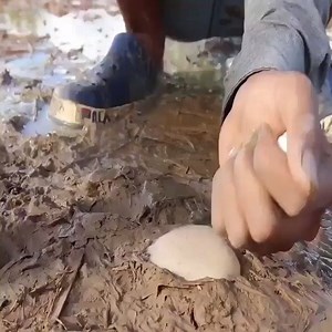 WOW! | Master, Wendell