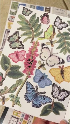 Field Notes Laser Cuts Sneak Peek