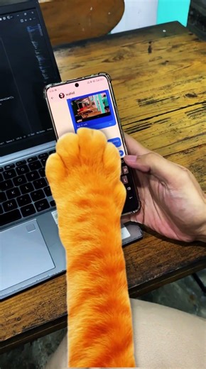 SOZIETY - flutter app