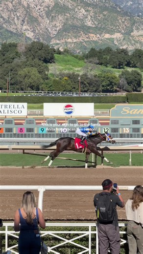 highly recommend!! #losangeles #horseraces #santanitapark #thingstodoinla