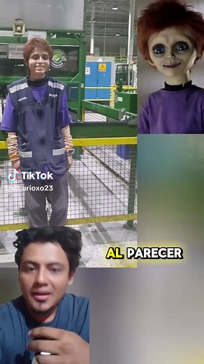 El hijo de Chucky en vivo #chucky #hijo #glen #glenda #curioso #humor | hijo de chucky