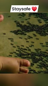 19K views · 124 reactions | These ants got mutated. #movietime #movies #moviereview #movieclips #movienight #movierecommendation #movierecap | Running Titles | Facebook