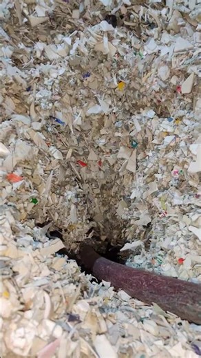 Inside America’s Plastic Scrap Recycling ♻️ | From Waste to Pellets
